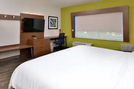 Holiday Inn Express Orlando - South Park, An Ihg - 59