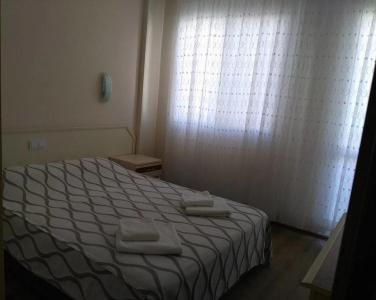 Palmiye - 0