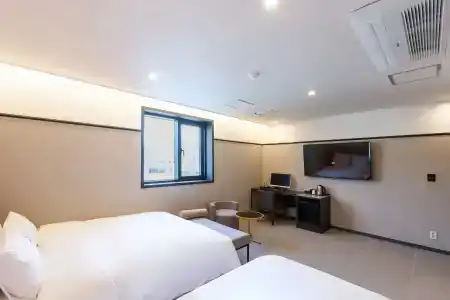 Browndot Sasang Renecite - 24