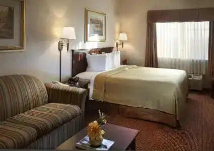 Quality Inn & Suites Near University - 37