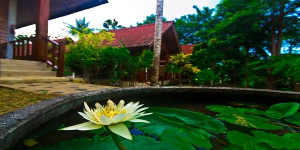 Krathom Khaolak Resort - 14
