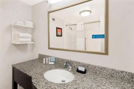 Hampton Inn Atlanta-Georgia Tech-Downtown - 49