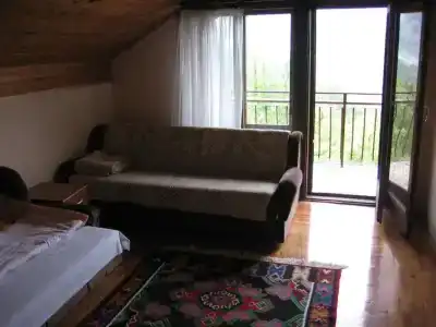 Guest house Pribojska Banja - 20