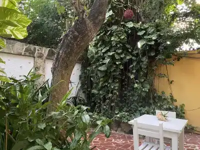 Maison Tulum - 70