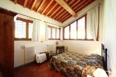 Gatto Bianco Tizzauli - 3