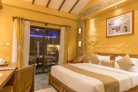 Bar Peepal - 80