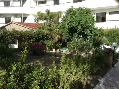 Vasilina - 5