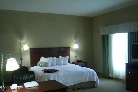 Hampton Inn & Suites I-20 - 47