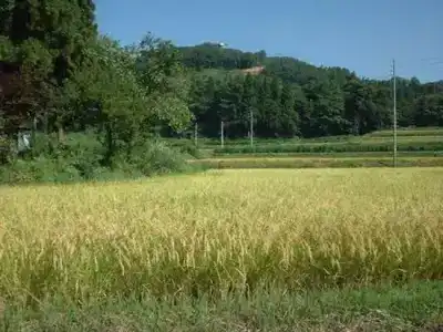 Kanoe - 30