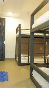 An Hoi Canary - 10