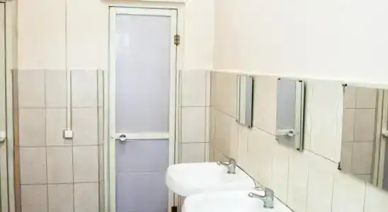 Вежливый Лось на ВДНХ - 11
