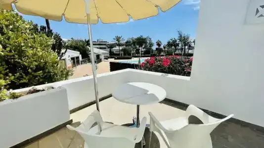 Palmeras Garden - 253