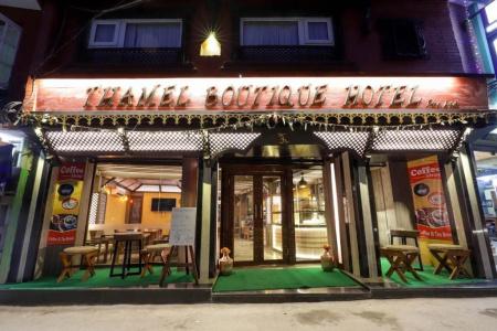 Thamel - 14