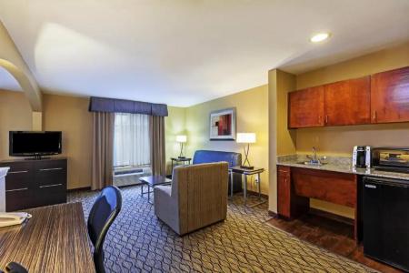 Holiday Inn Express & Suites Houston-Downtown Convention Center, An Ihg - 23