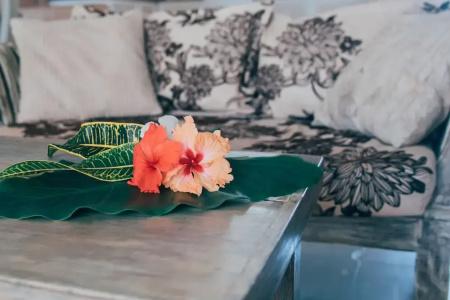 Paje Beach Apartments & - 137