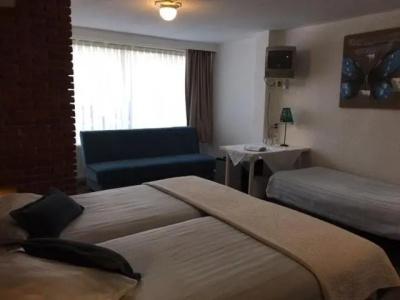 't Witte Huys Scheveningen - 25