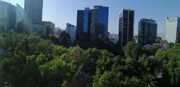 Holiday Inn Express Mexico Reforma - 23