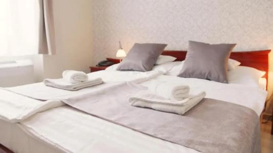 Aqua Villa Eger - 21