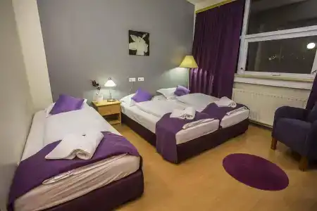 The Capital-Inn - 18