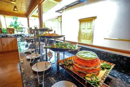 Brahmi Wellness Retreat & Spa - 9