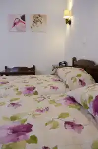 Elli - 24