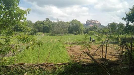 Sigiriya Rock Gate Resort - 85