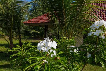 Pranee Beach Bungalows - 12