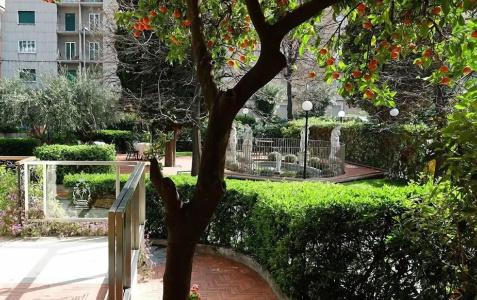 Le Palme - 8