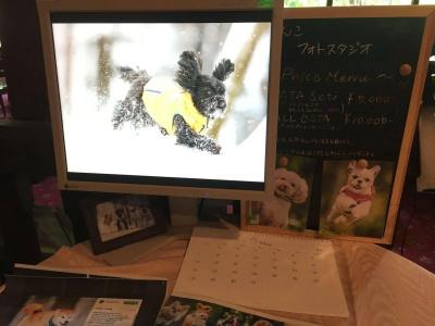 Izumigo Takayama Dog Paradise - 22