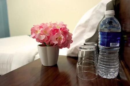 Maple Inn - 18