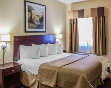Quality Inn & Suites - 4