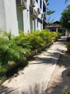 Island Spa Resort - 39