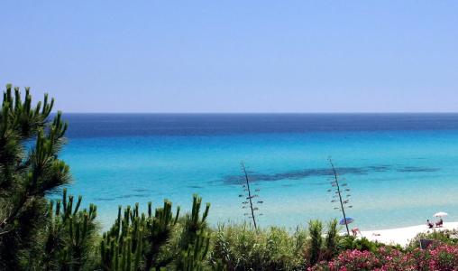 Free Beach Club - 27