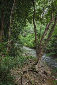 Our Jungle Camp - Eco Resort Sha Certified - 23
