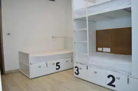 Hari Piorko - 26