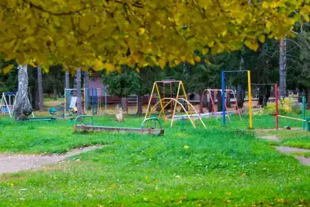 Зеленый городок - 20