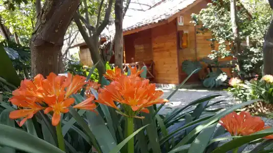 Residence Villaggio Verde - 46