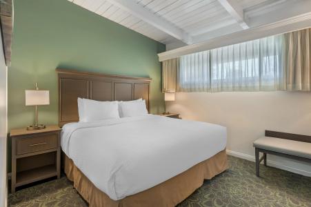 Best Western Plus - 133