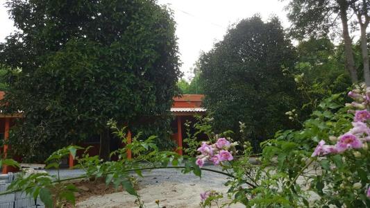 สิชล บ้านอุ๊ รีสอร์ท - 11