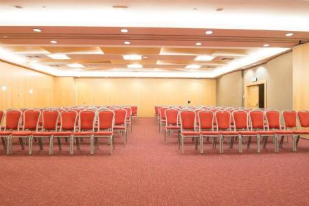 VIP Executive Entrecampos - & Conference - 25