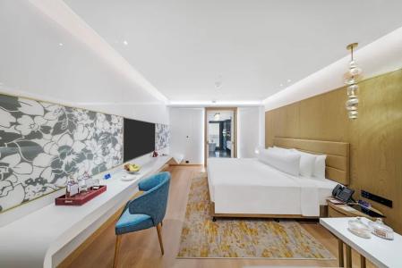 Radisson Blu Grt, Chennai - 91