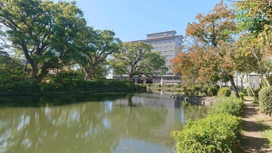 New Otani Saga - 50