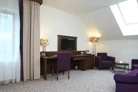 Mercure Krynica Zdrój Resort&Spa - 51