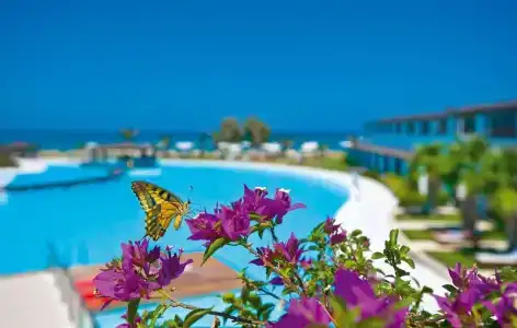 Giannoulis – Cavo Spada Luxury Sports & Leisure Resort & Spa - 22