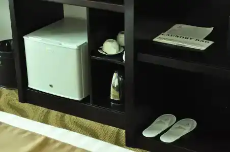 Dreamtel - 29
