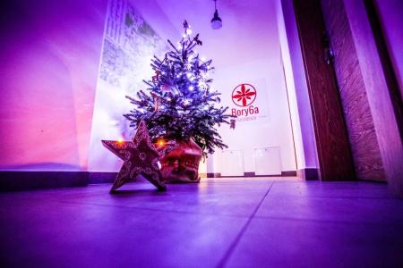 Bory6a Apartamenty - 16