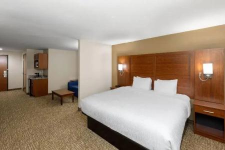 Microtel Inn & Suites by Wyndham College Station - 108