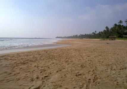 Sea Front - 16