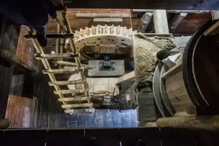 Наносы Отдых - 24