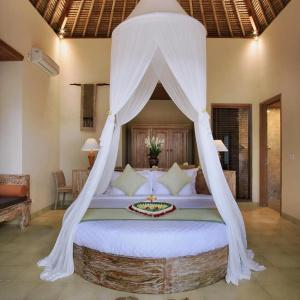 The Alena a Pramana Experience - 47